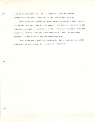 Scan of hatching chickens — page 2 of 2